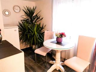 APARTMAN ANDREA 4 - Banja Luka - 8