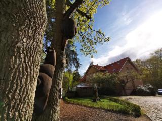 Hotel Schlösschen Sundische Wiese Zingst - Zingst - 1