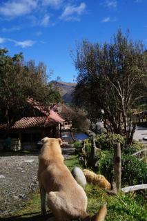 Hostería Cabañas del Pescador - Cajas - 6