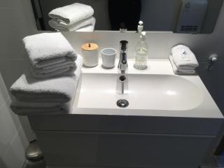 Greenhouse - Sart-lez-Spa - 2