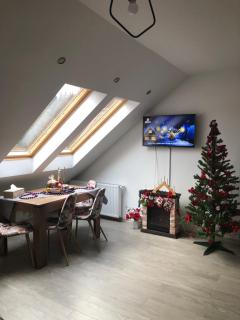 Apartament Andy Busteni 30 m de partie - Buşteni - 1
