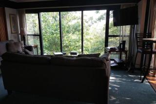 Unit 101 - Treeloft 3 Bedroom Villa - 1