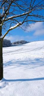 Ferienwohnung Liebscher - 1