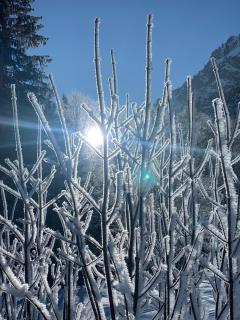 Ferienwohnung Steibis / Allgäu - Steibis - 6