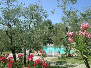 Agriturismo Antico Borgo Poggitazzi - Loro Ciuffenna - 9