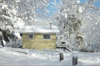 Muskoka Shores Cottages - 1