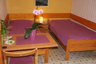 Mekina Guesthouse - Maribor - 5