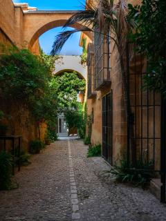 Palacio Marques de la Gomera - Osuna - 3