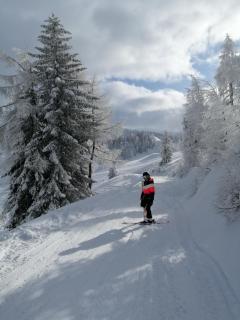 Appartement Tauernlife - 6