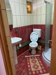 Camere de închiriat Floarea reginei - Vişeu de Sus - 7