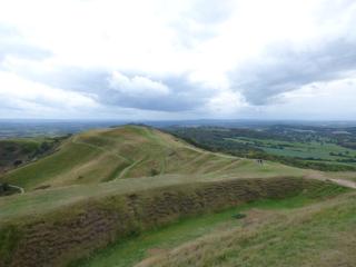 Bay Tree Cottage - 3