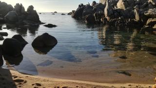 Da Patrizia - Santa Teresa Gallura - 5