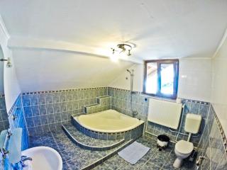 Vila Speranta - Pleşcoi - 9