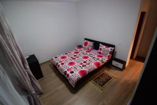 Agropensiune CASA SONIA - Băcia - 8