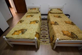 Agropensiune CASA SONIA - Băcia - 4