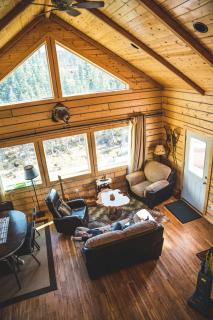 Denali Wild Stay - Bear Cabin with Hot Tub and Free Wifi, Private, sleep 6 - 5