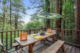 Artist's Perch - Guerneville - 1