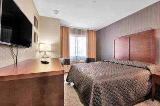 Hotel Pergola Jamaica JFK - Queens - 5