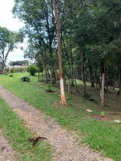Chacara maravilhosa pertinho de Curitiba - Curitiba - 1