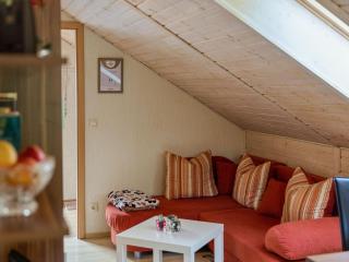 Apartment with forest in Goldisthal Thuringia - Goldisthal - 5