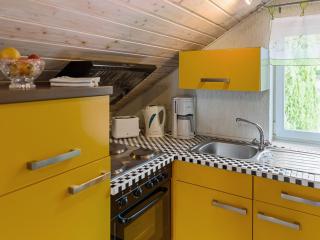 Apartment with forest in Goldisthal Thuringia - Goldisthal - 1