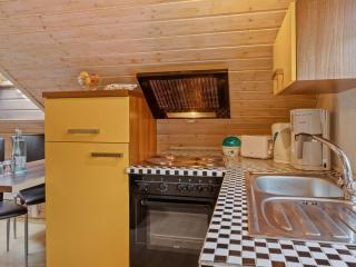 Apartment with forest in Goldisthal Thuringia - Goldisthal - 2