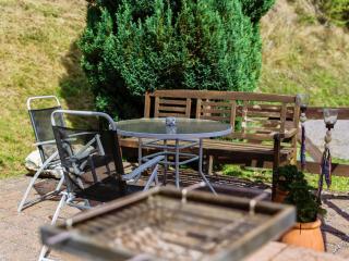 Apartment with forest in Goldisthal Thuringia - Goldisthal - 5