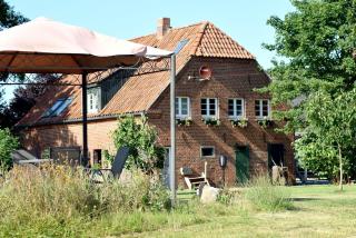 Kleine-Schwalbe - 6
