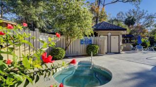 The Village Palmetto Dunes - 7