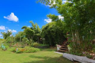 Orchard Cottage - modern Australian Sunshine Coast holiday cottage on organic farm nr beach - 2