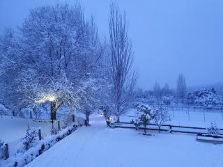 Hospedium Hotel Val de Pinares - 8