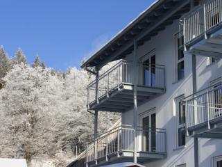 Fränkische Linie - Radspitz-Ferienwohnungen - Marktrodach - 4