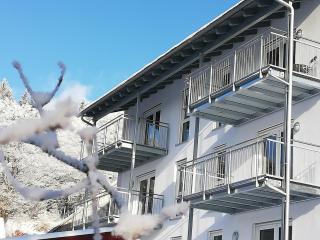 Fränkische Linie - Radspitz-Ferienwohnungen - Marktrodach - 2