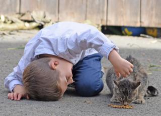 am Jaukhof Familie Stiendl - 8