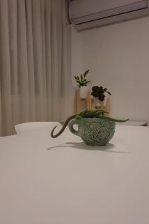 Departamento Centro Artístico Manzana Jesuítica - 9