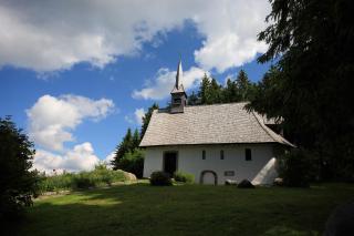 Höhengasthaus Kolmenhof an der Donauquelle - Furtwangen - 5
