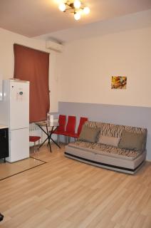 Apartment near Olympic stadium - Kiev - 1