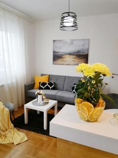 Apartman Mia - Sremska Mitrovica - 8
