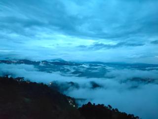 Conifers Deluxe Room - Shimla - 6