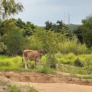 Pousada Terra de Minas - Sacada - 2