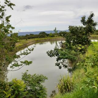 Pousada Terra de Minas - Sacada - 5