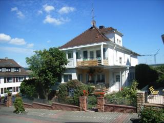 Hotel Schloessmann Garni - Bad König - 3