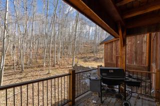 Quakey Lane 241 - Strong Elk - Telluride - 5