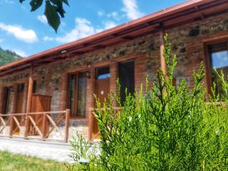 Borjomi Cottages - Borjomi - 7
