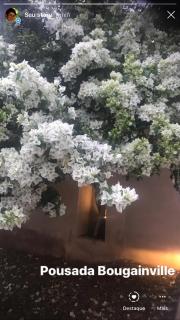 Pousada Bougainville - Três Corações - 7
