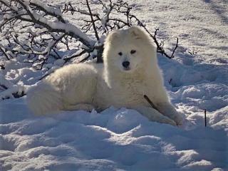 Ferienhaus Kramser - 3