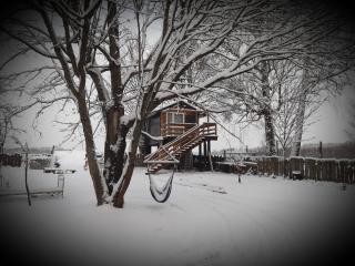 Podlasie Domek na drzewach - 7