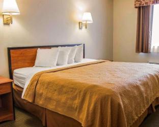 Quality Inn Durand I-69 - 8
