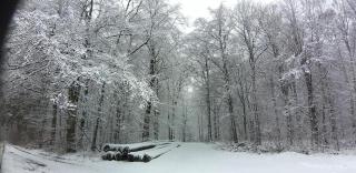 Au fil de l'eau - Grupont - 9