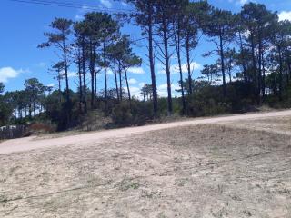 Cabaña La Genio - 3